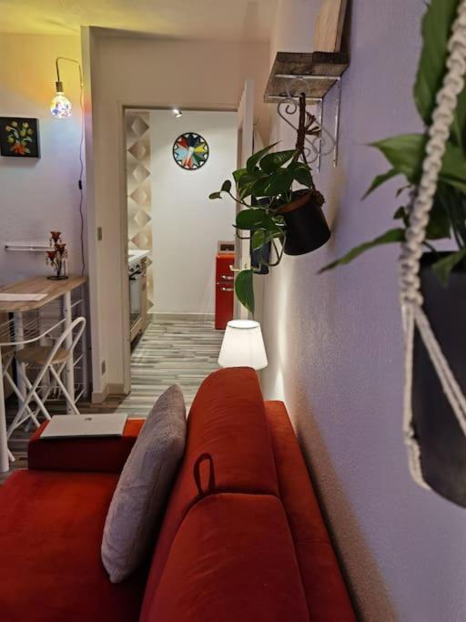 Cosy T1bis proche Centre-Ville et l'Erdre Nantes Extérieur photo